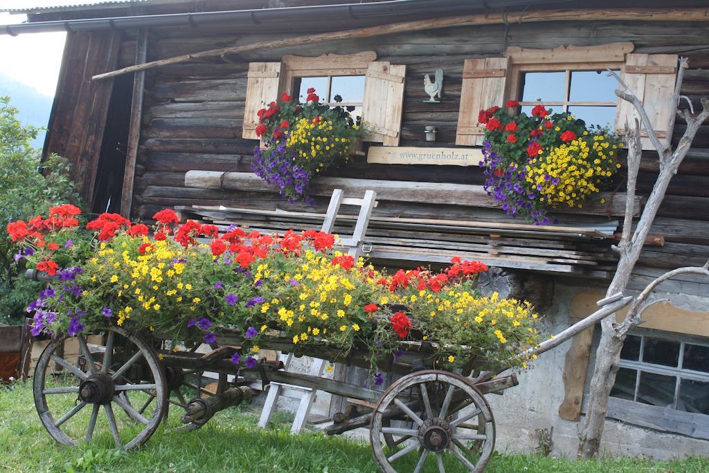 Muehlbach Alpendomizil II Leilighet Mühlbach am Hochkönig Eksteriør bilde
